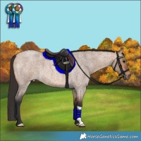 Horse Color:Bay Roan Dun 
