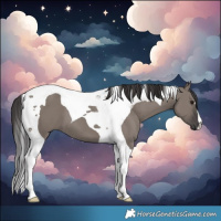Horse Color:Smoky Grullo Tobiano 