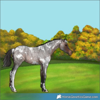 Horse Color:White Spotted Brown Roan Varnish 