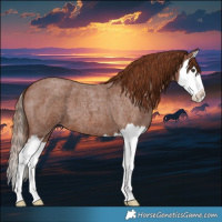 Horse Color:Red Roan Splash 