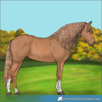 Horse Color:Chestnut Tobiano 