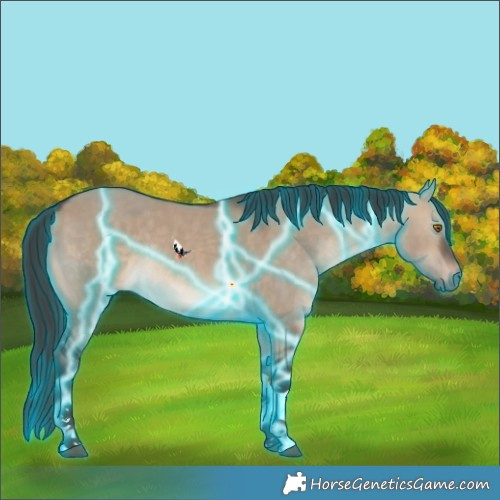 Horse Color:Thunderstruck Brown Dun Tobiano Rabicano 