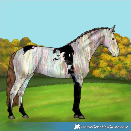 Horse Color:Chestnut Ice Tobiano 