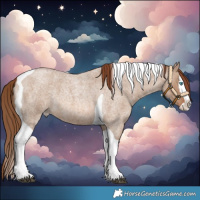 Horse Color:Red Dun Roan Splash Tobiano 