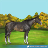 Horse Color:Buckskin Sabino Tobiano