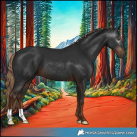 Horse Color:Gray Liver Chestnut