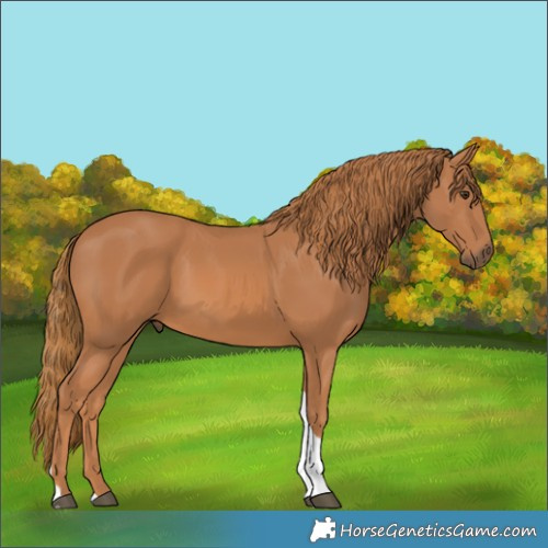 Horse Color:Unknown 