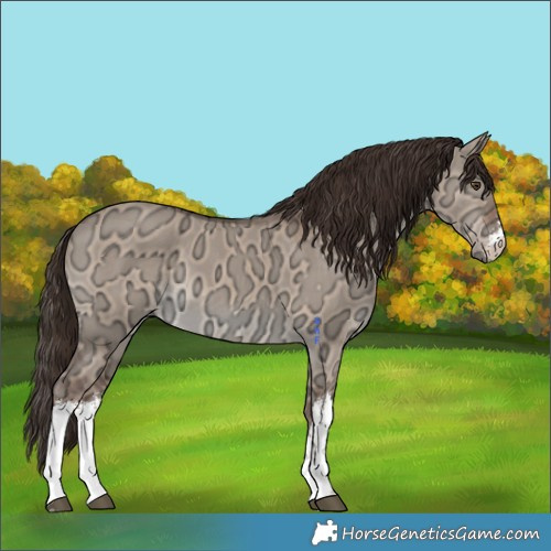 Horse Color:White Spotted Liver Red Dun Ice 
