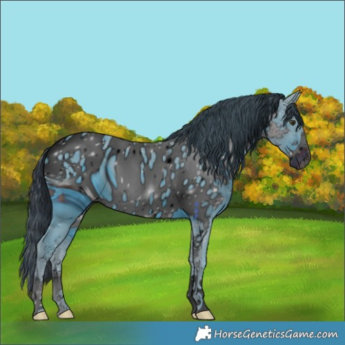 Horse Color:ERROR: UNKNOWN ANOMALY