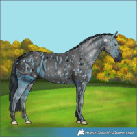 Horse Color:ERROR: UNKNOWN ANOMALY