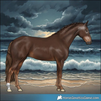 Horse Color:Gray Chestnut