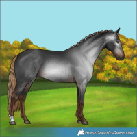 Horse Color:Gray Liver Chestnut