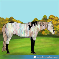 Horse Color:Chocolate Palomino Ice Tobiano