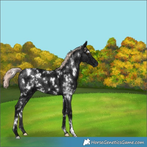 Horse Color:White Spotted Liver Chestnut Ice Mushroom 