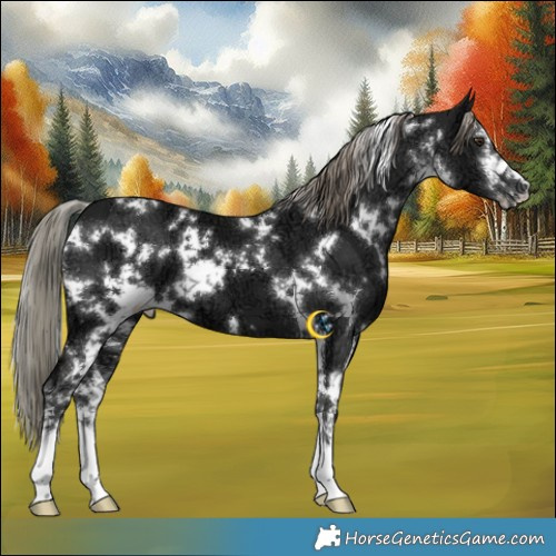 Horse Color:White Spotted Liver Chestnut Ice Mushroom 