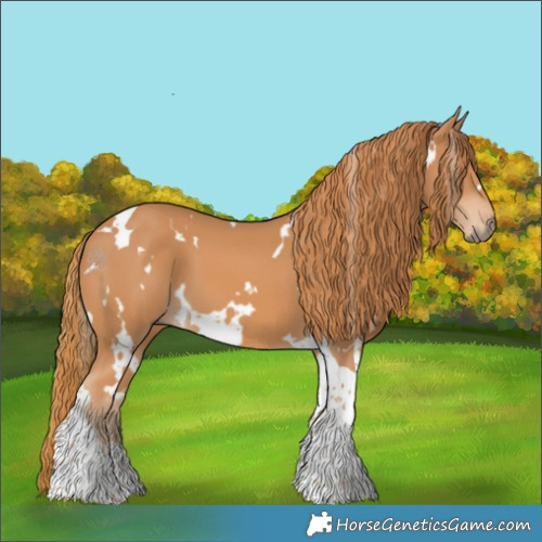 Horse Color:White Spotted Chestnut Tobiano 