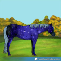 Horse Color:ERROR: UNKNOWN ANOMALY