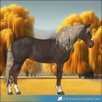 Horse Color:Liver Chestnut 