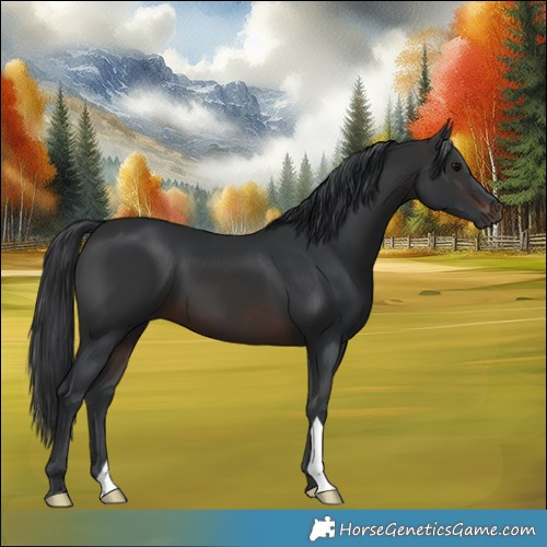 Horse Color:Brown 