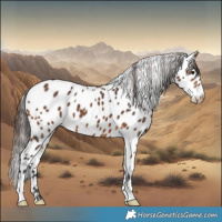 Horse Color:Bay Leopard 