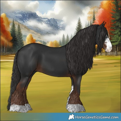 Horse Color:Liver Chestnut Sabino 