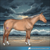 Horse Color:Chocolate Silver Bay Dun Tobiano