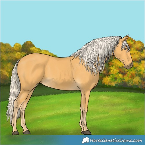 Horse Color:Palomino
