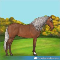 Horse Color:Silver Brown 