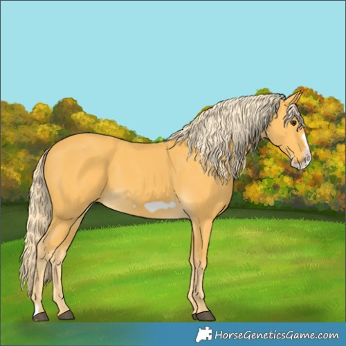 Horse Color:Palomino Frame 