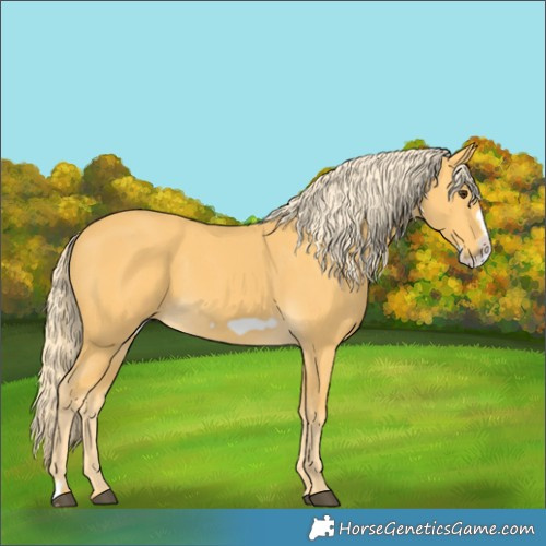 Horse Color:Palomino Frame