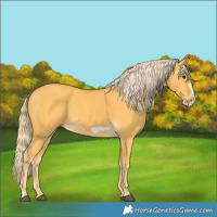 Horse Color:Palomino Frame 