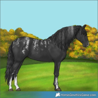 Horse Color:Powder White Black 