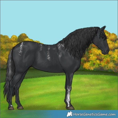 Horse Color:Powder White Black 