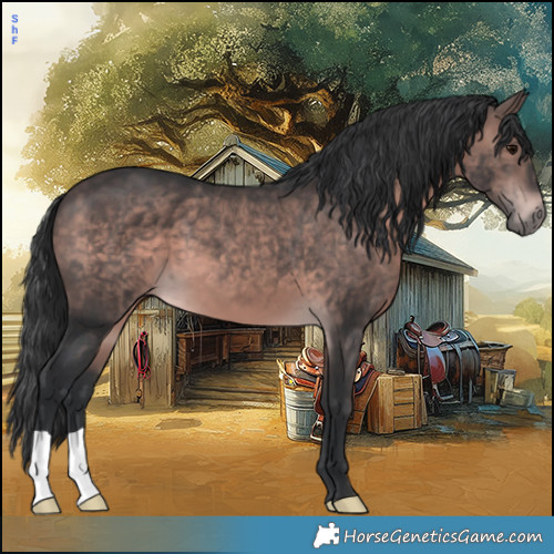 Horse Color:Platinum Brown