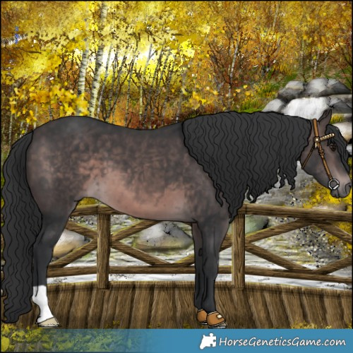 Horse Color:Platinum Brown 
