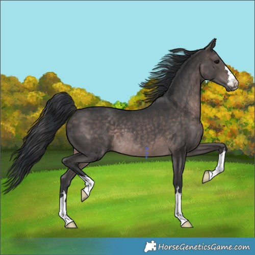 Horse Color:Platinum Brown 