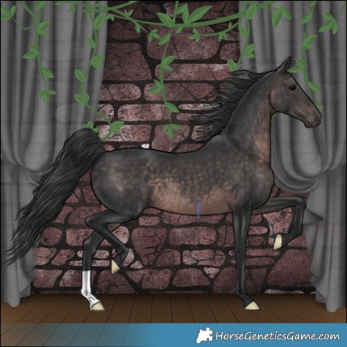 Horse Color:Platinum Brown 