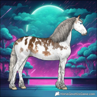 Horse Color:Gray Silver Buckskin Splash Appaloosa