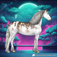 Horse Color:Gray Silver Buckskin Splash Appaloosa