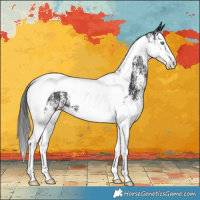 Horse Color:White Spotted Black Splash Tobiano 