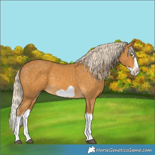 Horse Color:Palomino Splash Frame 