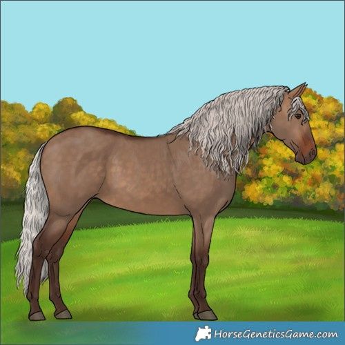 Horse Color:Silver Brown Dun