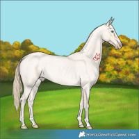 Horse Color:Perlino Roan 