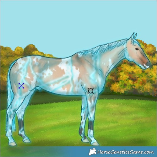 Horse Color:Thunderstruck White Spotted Silver Bay Dun 