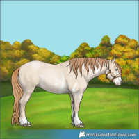 Horse Color:Smoky Grullo Pearl Sabino Rabicano 