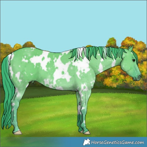 Horse Color:Watercolor White Spotted Grullo