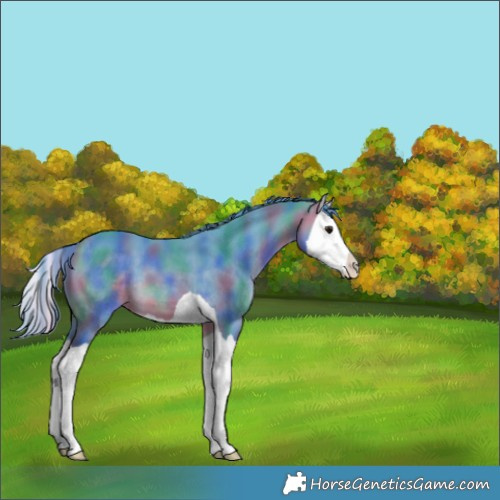 Horse Color:Nacre Watercolor Bay Splash