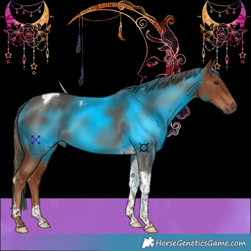 Horse Color:Chestnut Tobiano