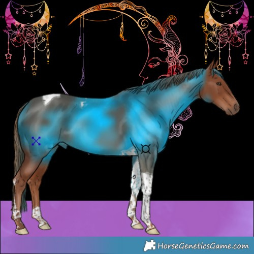 Horse Color:Chestnut Tobiano 