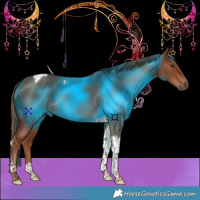 Horse Color:Chestnut Tobiano 